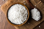 Sabudana health benefits, Sabudana news, is sabudana good for health, Cooking