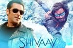 Salman Khan latest, Salman Khan, salman khan to promote shivaay, Big boss