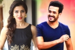 Akhil Akkineni, Agent, samantha and akhil to clash in august, Bollywood films
