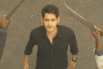 Sarileru Neekevvaru talks, Anil Ravipudi, mahesh babu s sarileru neekevvaru trailer review, Sarileru neekevvaru trailer