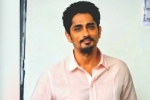 Siddharth breaking news, Siddharth twitter, siddharth faces backlash on twitter, Rihanna