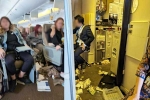 Singapore Airlines turbulence horror videos, Singapore Airlines, one dead and 30 injured in singapore airlines turbulence horror, Singapore airlines