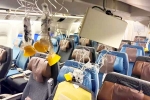 Singapore Airlines, Singapore Airlines turbulence, singapore airlines statement after turbulence horror, Singapore airlines