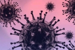 Omicron new updates, Omicron risk, south african scientists about omicron variant, Omicron symptoms