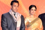 Sridevi new film, Sridevi, sridevi to work with salman khan, English vinglish