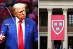 Donald Trump, Donald Trump breaking updates, trump demands 1 billion as damages from harvard university, Donald trump Donald Trump, Donald Trump breaking updates, trump demands 1 billion as damages from harvard university, Donald trump
