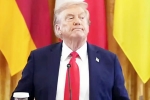 Trump Tariff on India latest, Tariff on India, trump imposed tariffs on india to pressurize russia, Volodymyr zelensky