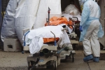 USA Coronavirus, USA Coronavirus total death tally, usa coronavirus deaths reaches 9 lakhs, Indianapolis