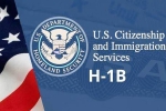 USICS on H1B visas, USICS on H1B visas, uscis report claims more than 74 percent of indians accounted on h1b visas, Up government report