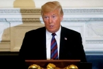 Midterms, Trump, trump warns of violent change if republicans lose midterms, Hogan gidley