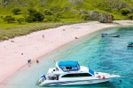Pink Beach in Indonesia breaking, Pink Beach in Indonesia list, which pink beach should you visit in indonesia, C section