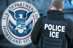 Indians detained, MEA on US students, mea will continue to work with us authorities to address the issue, Detainees