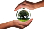 world environment day slogans, save the planet, world environment day here s how you can save the planet with these simple steps, Natural world