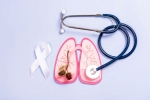 World Pneumonia Day 2024, World Pneumonia Day 2024, all about world pneumonia day, Vaccines