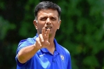 India A, Rahul Dravid latest, rahul dravid to lead team india as head coach, Sourav ganguly