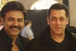 Salman Khan and venkatesh, venkatesh daughter marriage, watch salman khan shake legs with venkatesh at his daughter aashritha daggubati s wedding, Bollywood star salman khan