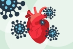 coronavirus, COVID-19, covid 19 can lead to heart complications not found in any other disease study, Autopsy