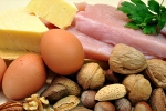 tissues, cells, why protein is an important part of your healthy diet, Healthy diet