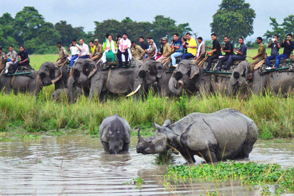 Kaziranga Wild Life Sanctuary