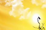 longest day of the year in the UAE, visible impression, friday is the longest day of the year, Dubai news