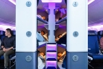 Air New Zealand Bunk Beds new updates, Air New Zealand Bunk Beds pictures, air new zealand introduces bunk beds in economy flights, Air new zealand bunk beds