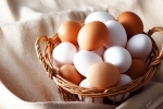 Brown Eggs Vs White Eggs breaking, Brown Eggs Vs White Eggs which is good, brown eggs vs white eggs which is healthy, Flu
