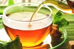 anti-bacteria, herbs, is consuming tea linked to immunity, Sleep cycle