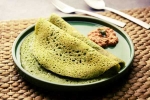 Curry Leaves Dosa breaking news, Curry Leaves Dosa ingredients, recipe curry leaves dosa, Spicy