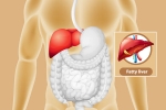 Fatty Liver problems, Fatty Liver changes, dangers of fatty liver, Tips