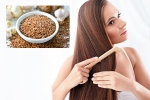 Flaxseeds for hair, Flaxseeds hair benefits, how flaxseeds can help for a long and healthy hair, Recipe