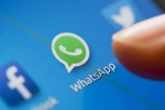 forward messages, Messages, whatsapp curbs forwarding messages to five users, Forward messages