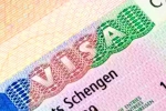 Schengen visa for Indians 2024, Schengen visa for Indians new visa, indians can now get five year multi entry schengen visa, Travel