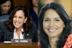 Tulsi Gabbard, Tulsi Gabbard, kamala harris tulsi gabbard to begin campaign in february, Presidential primaries