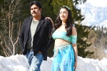 Pawan Kalyan news, Pawan Kalyan updates, katamarayudu first weekend collections, Katamarayudu Pawan Kalyan news, Pawan Kalyan updates, katamarayudu first weekend collections, Katamarayudu