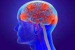 Coronavirus impact, Coronavirus breaking news, coronavirus can cause long term loss of brain tissue, Fda