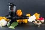 Maha Shivratri, sawan shivratri 2019, maha shivratri 2019 visit these lord shiva temples to witness best of the maha shivratri, Ujjain