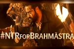 Brahmastra news, Brahmastra breaking news, ntr turns chief guest for brahmastra event, Back pain