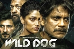 Wild Dog budget, Wild Dog latest updates, release date of nag s wild dog is out, Saiyami kher