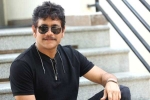 Nagarjuna new movie, Nagarjuna and Akhil film, nagarjuna s 100th film locked, Bangarraju