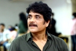 Nagarjuna periodic film, Nagarjuna latest updates, nagarjuna in a periodic drama, Mohan raja