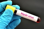 suspected Nipah Virus, Nipah Virus symptoms, nipah virus is back again two deaths registered, Nipah virus