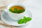 Peppermint Tea, Peppermint Tea updates, what happens when you drink peppermint tea every night, Health benefits