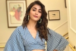 Pooja Hegde news, Boney Kapoor, pooja hegde in pink remake, Taapsee