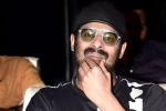 Prabhas and Maruthi Film shooting news, Prabhas and Maruthi Film shoot updates, prabhas next film launched, Raja deluxe Prabhas and Maruthi Film shooting news, Prabhas and Maruthi Film shoot updates, prabhas next film launched, Raja deluxe