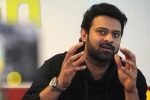 Prabhas new film, Prabhas and Sree Leela, two young beauties in talks for prabhas next, Pelli sandad