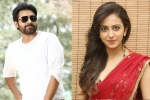 Pawan Kalyan, Rakul Preet Singh new film, rakul rejects pawan s film, Katamrayudu Pawan Kalyan, Rakul Preet Singh new film, rakul rejects pawan s film, Katamrayudu