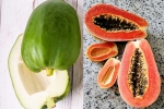 Raw Papaya Vs Ripe Papaya health experts, Raw Papaya Vs Ripe Papaya breaking, raw papaya vs ripe papaya which is better for blood sugar, Sugar Raw Papaya Vs Ripe Papaya health experts, Raw Papaya Vs Ripe Papaya breaking, raw papaya vs ripe papaya which is better for blood sugar, Sugar