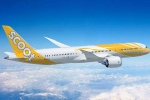 Scoot Airline, Singapore, scoot airline refuses to fly with special needs child, Phuket