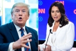 trump supporting Al-Qaeda, donald trump, trump slams tulsi gabbard for alleging that he supports al qaeda, Tulsi gabbard