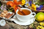 Uric Acid Management experts, Uric Acid Management experts, managing uric acid naturally with ayurvedic herbal teas, Holi